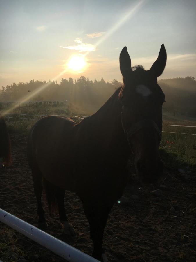 Farm stay Folwark Pod Debem